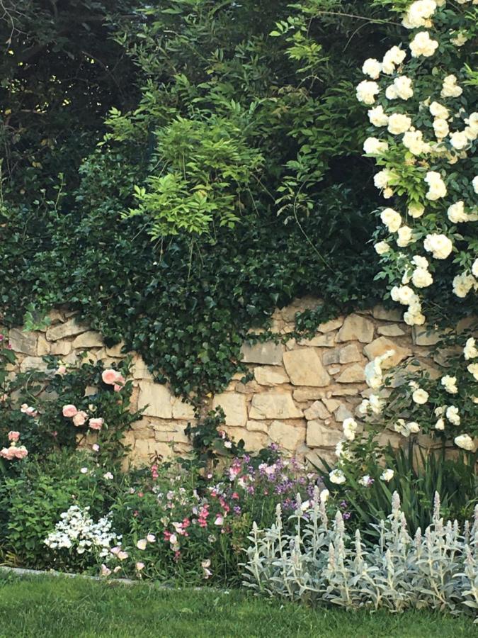 Chambre Cote Jardin Nîmes Kültér fotó